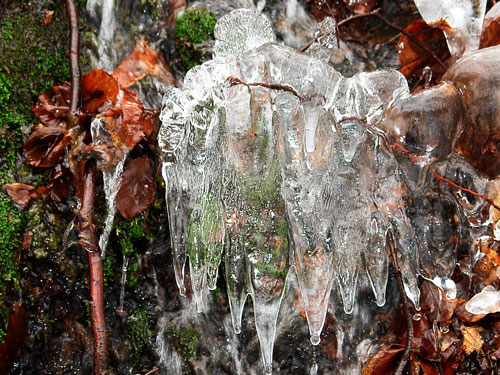 Foto Ice Angel (c) Petru Goja